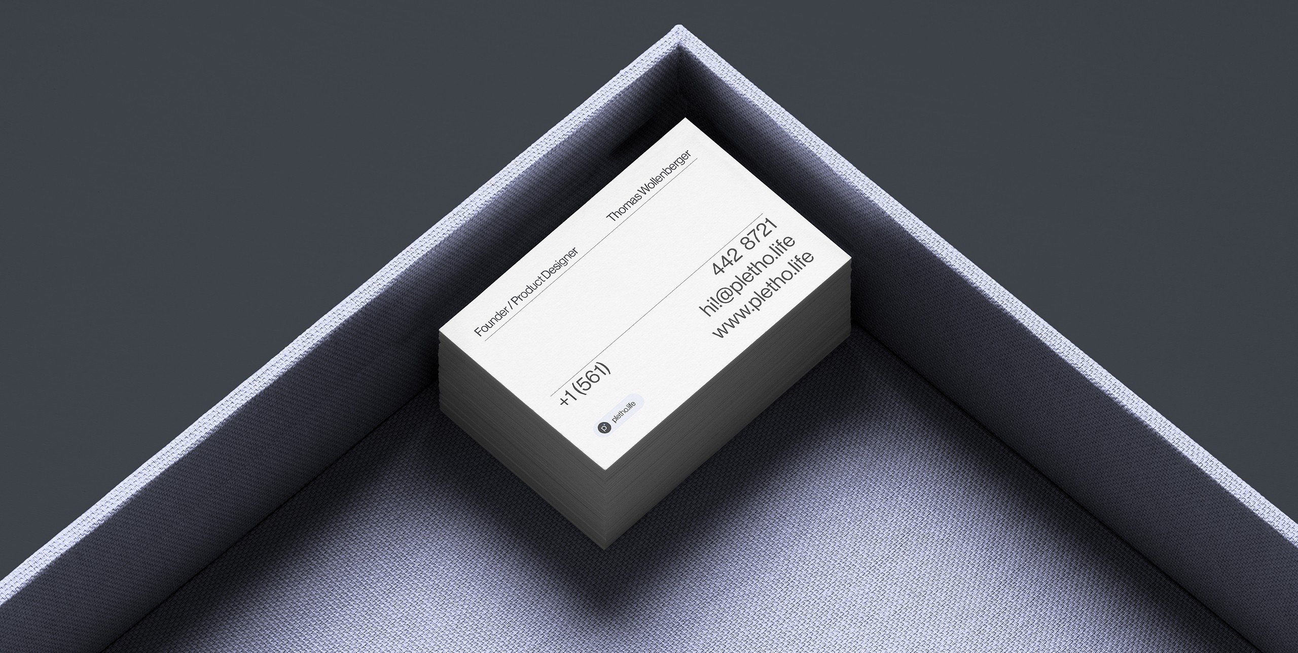 Pletho visual identity — branded merchandise and packaging health technology startup