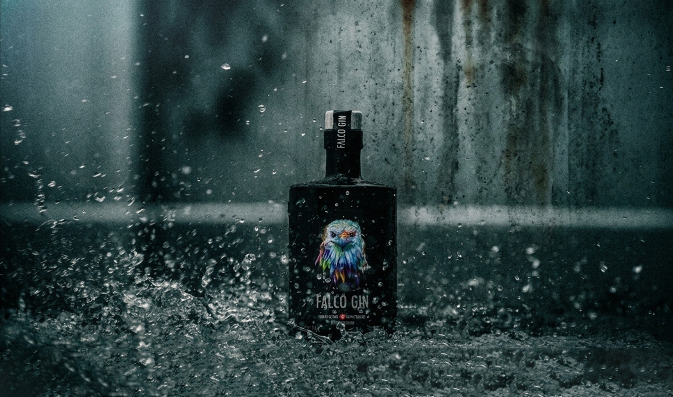 Falco Gin brand identity — premium Swiss gin editorial design dark atmospheric photography